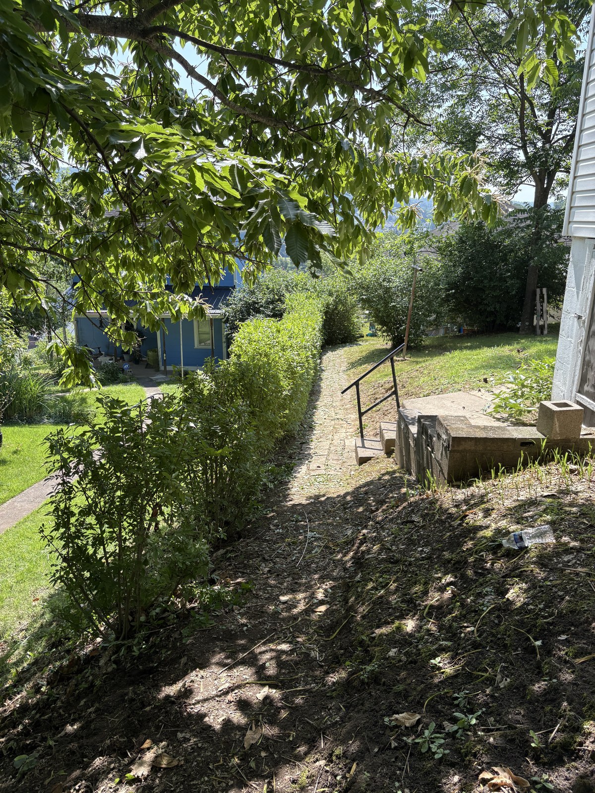 Property cleanup by DJ Lawn Services