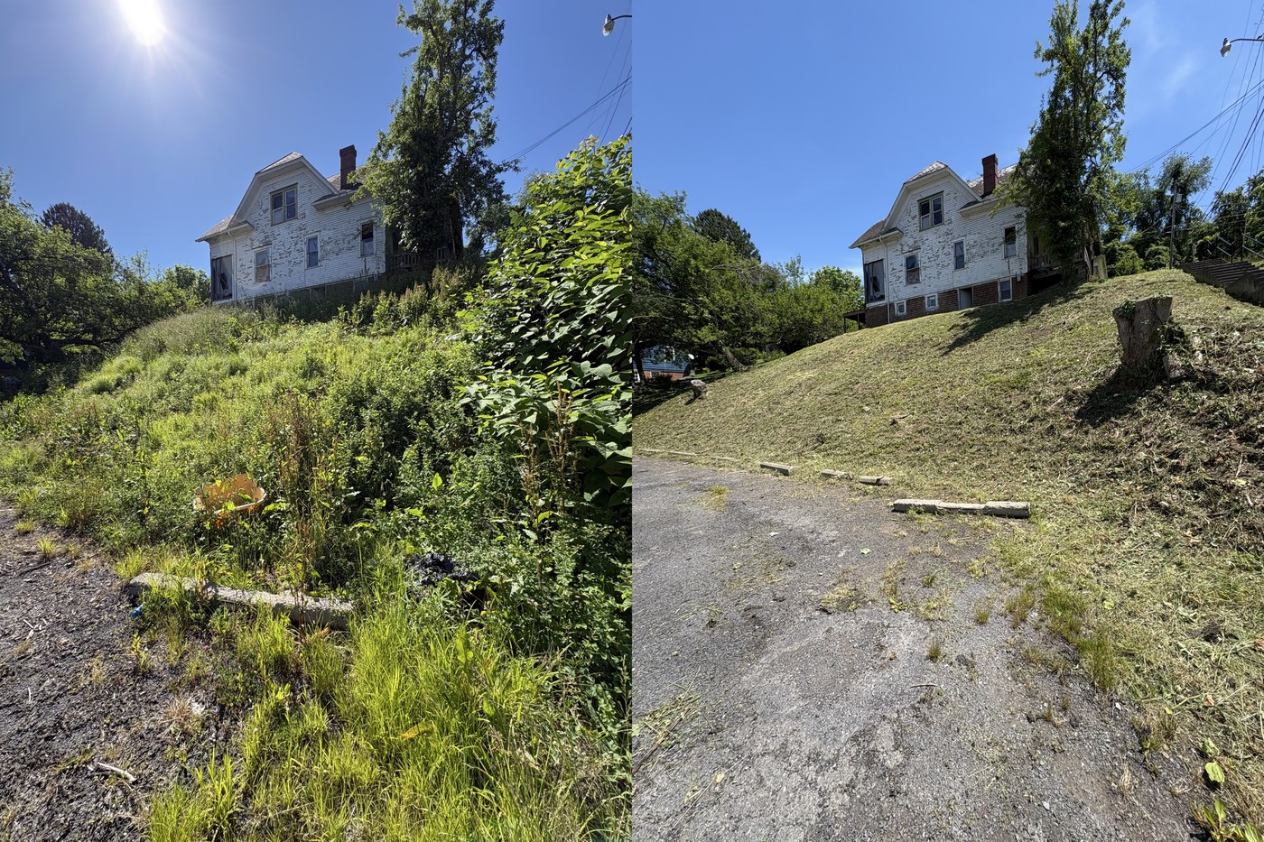 Brush removal before and after by DJ Lawn Services